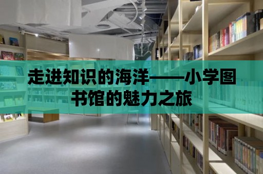 走進知識的海洋——小學圖書館的魅力之旅