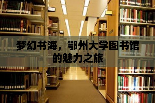 夢幻書海，鄂州大學(xué)圖書館的魅力之旅