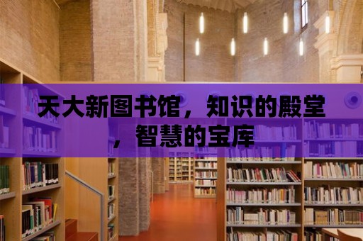 天大新圖書館，知識的殿堂，智慧的寶庫