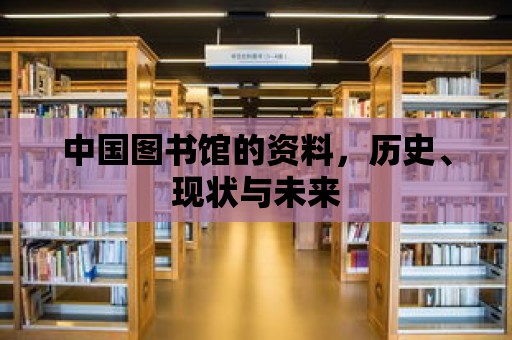 中國圖書館的資料，歷史、現(xiàn)狀與未來