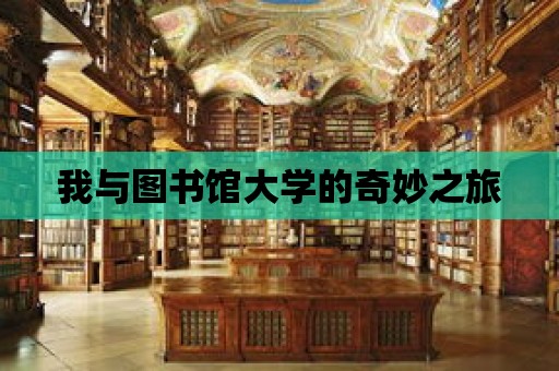 我與圖書館大學的奇妙之旅