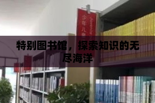 特別圖書館，探索知識的無盡海洋