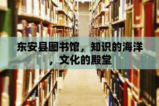 東安縣圖書館，知識的海洋，文化的殿堂