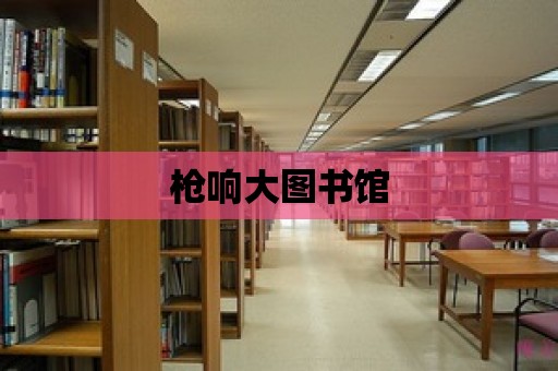 槍響大圖書館