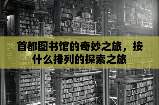 首都圖書館的奇妙之旅，按什么排列的探索之旅