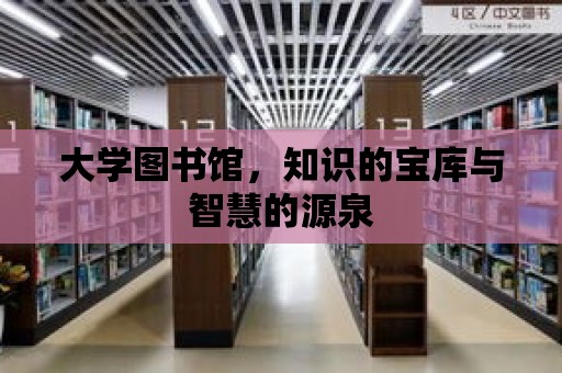 大學(xué)圖書館，知識的寶庫與智慧的源泉