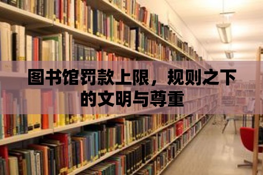 圖書館罰款上限，規則之下的文明與尊重