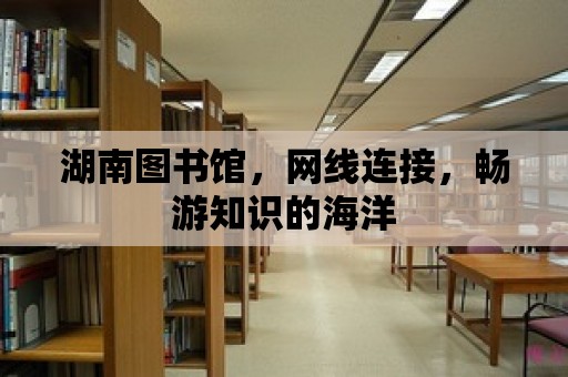 湖南圖書館，網線連接，暢游知識的海洋