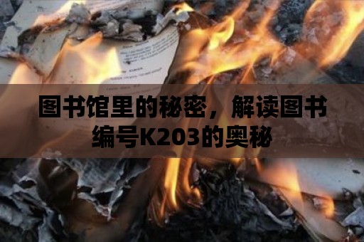 圖書館里的秘密，解讀圖書編號K203的奧秘