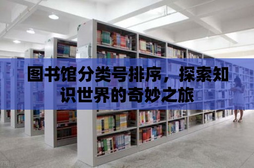 圖書館分類號排序，探索知識世界的奇妙之旅