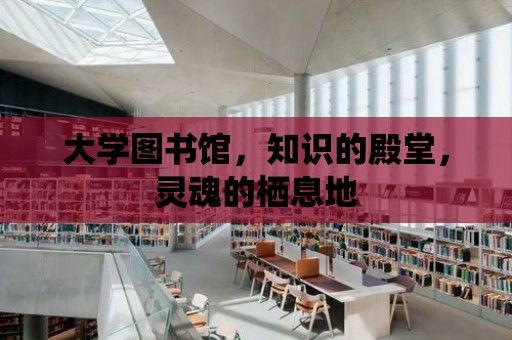 大學圖書館，知識的殿堂，靈魂的棲息地