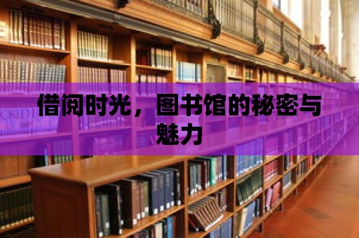 借閱時光，圖書館的秘密與魅力