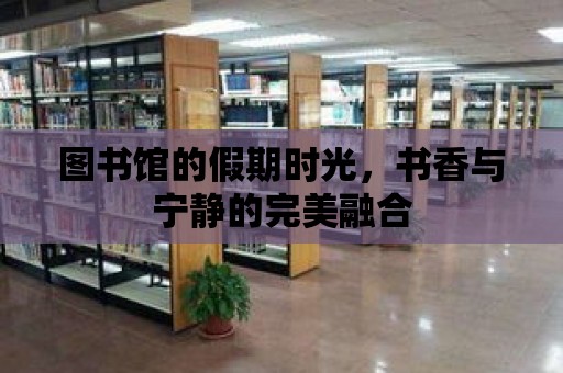 圖書館的假期時光，書香與寧靜的完美融合