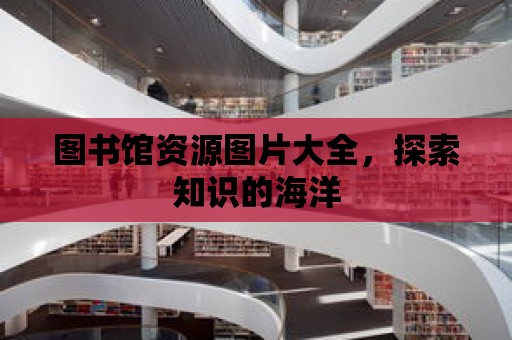 圖書館資源圖片大全，探索知識的海洋