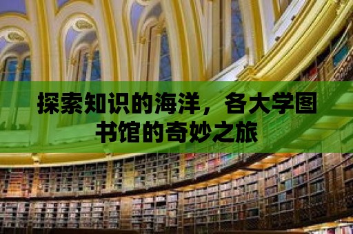 探索知識的海洋，各大學圖書館的奇妙之旅