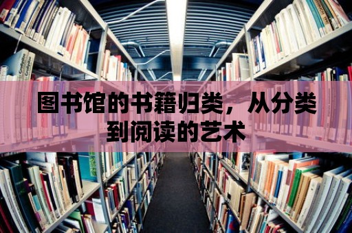 圖書(shū)館的書(shū)籍歸類，從分類到閱讀的藝術(shù)