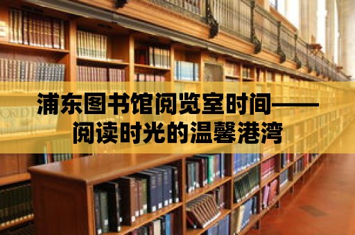 浦東圖書館閱覽室時間——閱讀時光的溫馨港灣