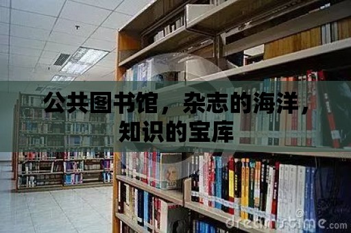 公共圖書館，雜志的海洋，知識的寶庫