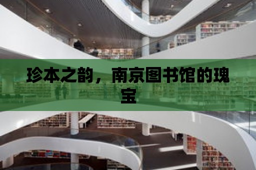 珍本之韻，南京圖書館的瑰寶