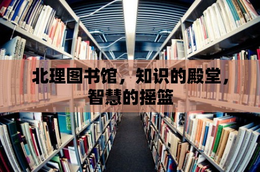 北理圖書館，知識的殿堂，智慧的搖籃