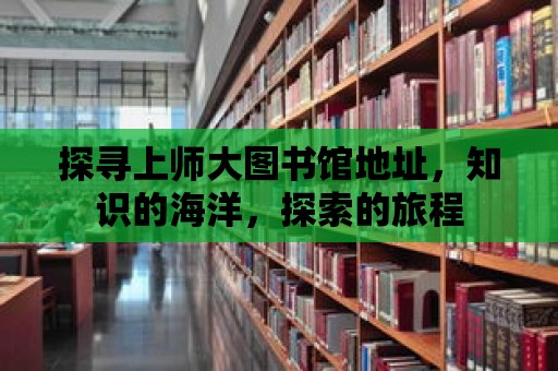 探尋上師大圖書館地址，知識的海洋，探索的旅程