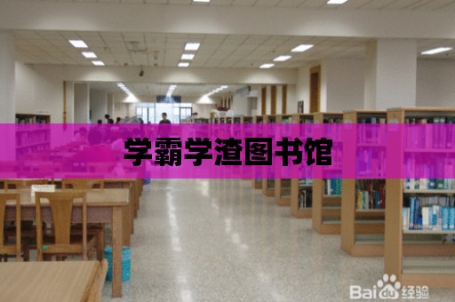 學霸學渣圖書館