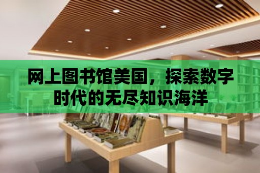 網上圖書館美國，探索數字時代的無盡知識海洋