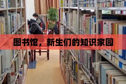 圖書館，新生們的知識家園