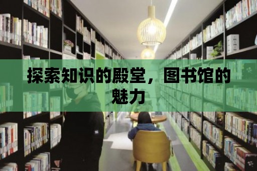 探索知識的殿堂，圖書館的魅力