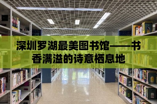 深圳羅湖最美圖書館——書香滿溢的詩意棲息地