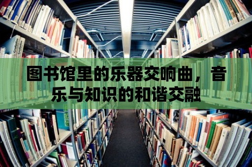 圖書館里的樂器交響曲，音樂與知識的和諧交融