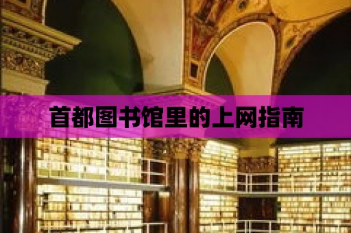 首都圖書館里的上網指南