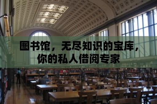 圖書館，無盡知識的寶庫，你的私人借閱專家