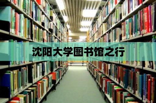 沈陽大學圖書館之行