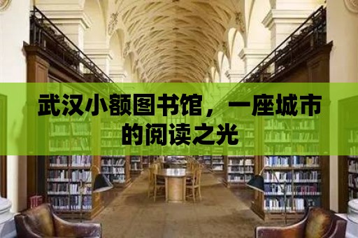 武漢小額圖書館，一座城市的閱讀之光