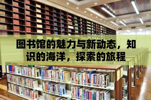 圖書館的魅力與新動態，知識的海洋，探索的旅程