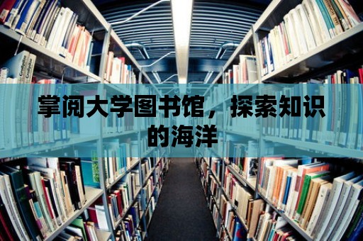 掌閱大學圖書館，探索知識的海洋