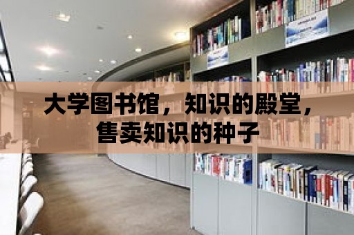 大學圖書館，知識的殿堂，售賣知識的種子