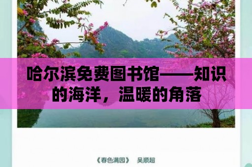 哈爾濱免費圖書館——知識的海洋，溫暖的角落