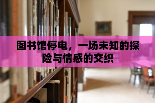 圖書館停電，一場未知的探險與情感的交織