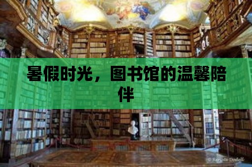 暑假時(shí)光，圖書(shū)館的溫馨陪伴