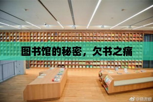 圖書館的秘密，欠書之痛