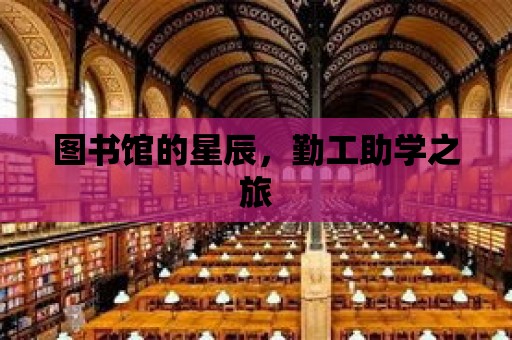 圖書(shū)館的星辰，勤工助學(xué)之旅