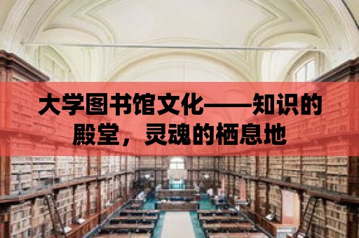 大學圖書館文化——知識的殿堂，靈魂的棲息地