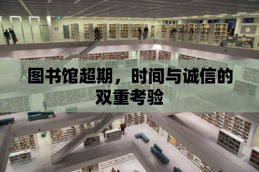 圖書館超期，時間與誠信的雙重考驗