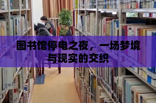 圖書館停電之夜，一場夢境與現(xiàn)實的交織