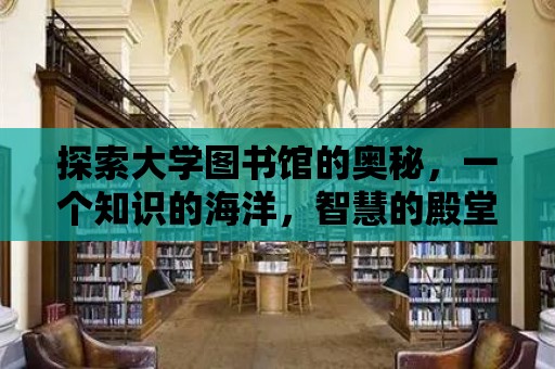 探索大學圖書館的奧秘，一個知識的海洋，智慧的殿堂