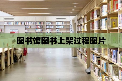 圖書館圖書上架過程圖片