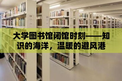 大學(xué)圖書館閉館時刻——知識的海洋，溫暖的避風(fēng)港