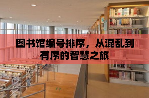 圖書館編號排序，從混亂到有序的智慧之旅